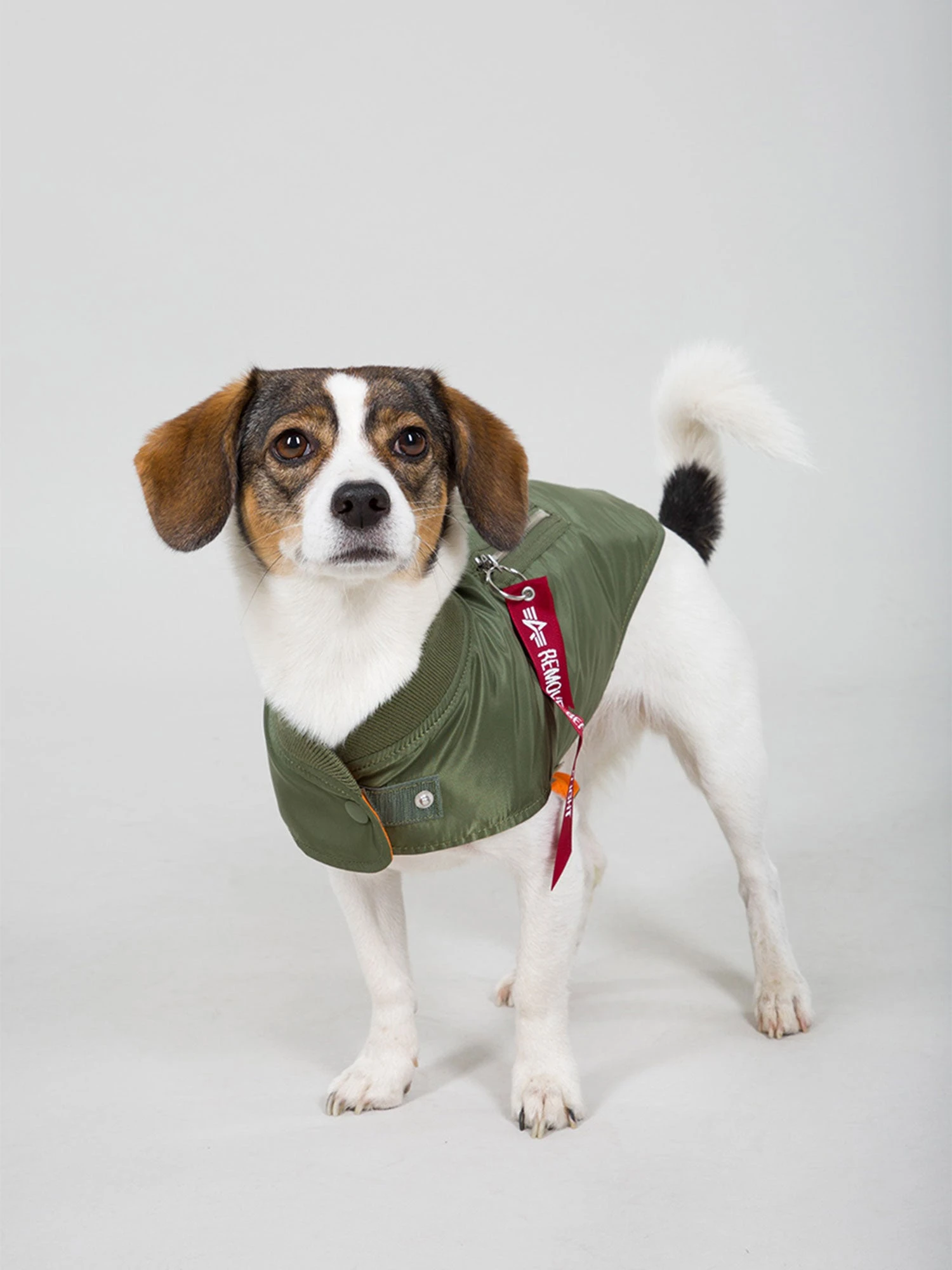 Alpha Industries Dog MA-1 5 Alpha Industries Dog MA-1 - Image 3