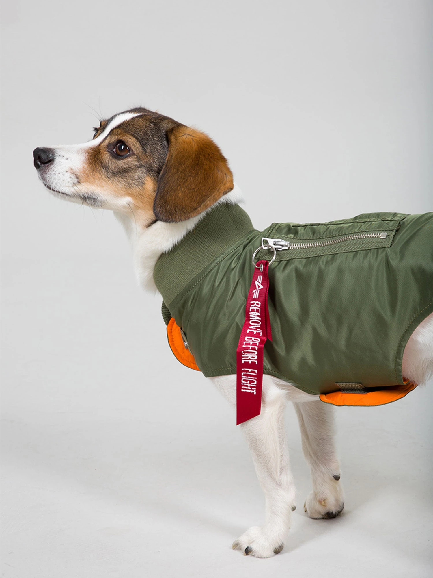 Alpha Industries Dog MA-1 4 Alpha Industries Dog MA-1 - Image 2