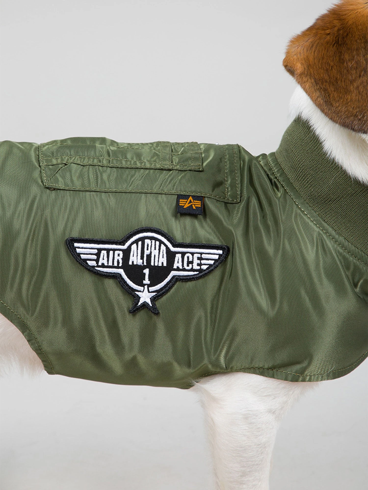 Alpha Industries Dog MA-1 8 Alpha Industries Dog MA-1 - Image 6
