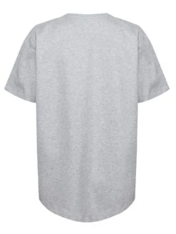 DECLINE PERFORMANCE T-SHIRT -Alpha Industries Shop L620106 LIGHTMARLE GREY 5