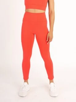 BRIDGE PERFORMANCE LEGGINGS