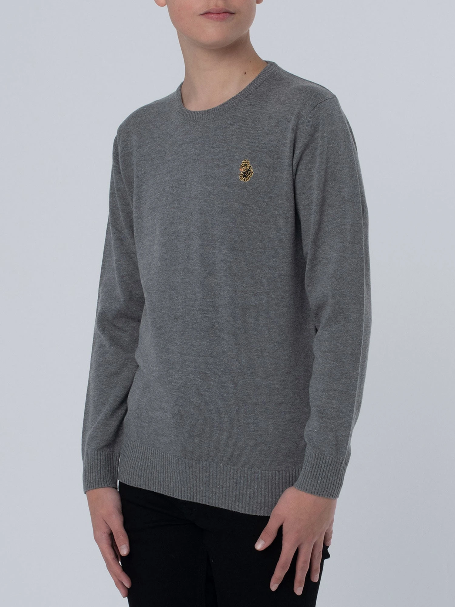 GERARD 3 JUNIOR SWEATSHIRT 5 GERARD 3 JUNIOR SWEATSHIRT - Image 3