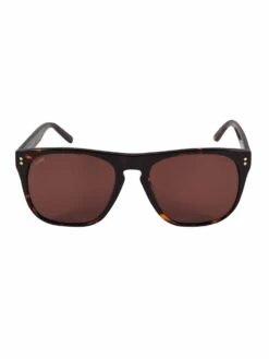 NEWMAN 2 SUNGLASSES -Alpha Industries Shop M651212 TOTOISESHELL 2 1cbabf1f 3a0a 44ae 982a 146eac5bfb8c
