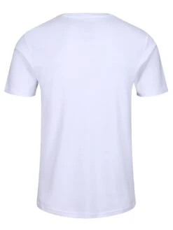 Modern Amusement CALI CROW T-SHIRT -Alpha Industries Shop MO650101 white 5