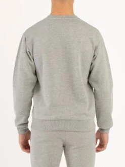 Modern Amusement HOLLYWOOD CROW SWEATSHIRT -Alpha Industries Shop MO650304 grey 4