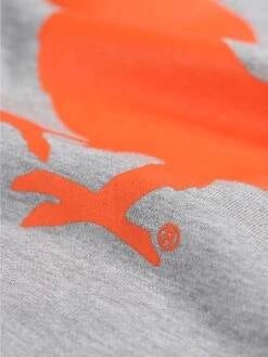 Modern Amusement HOLLYWOOD CROW SWEATSHIRT -Alpha Industries Shop MO650304 grey 7