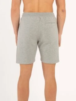 Modern Amusement BERGAMOT STATION SHORTS -Alpha Industries Shop MO651002 grey 3