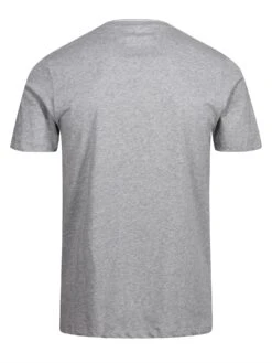 PECKHAM T-SHIRT -Alpha Industries Shop Peckham Grey 2